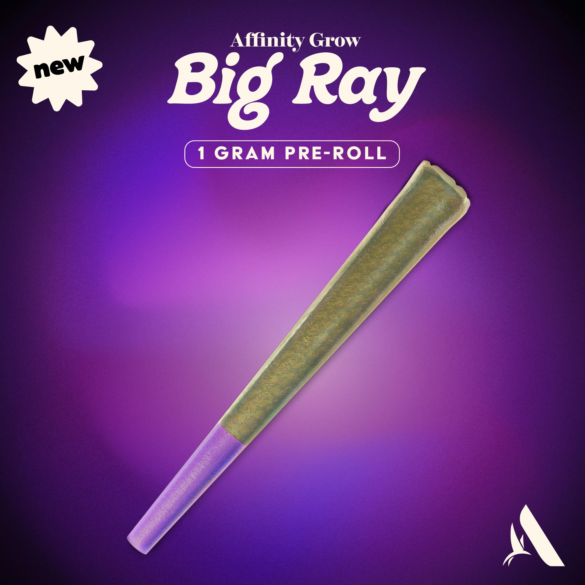 Chem Ox | Big Ray Single Pre-roll | 1g | 00862 cannabis product