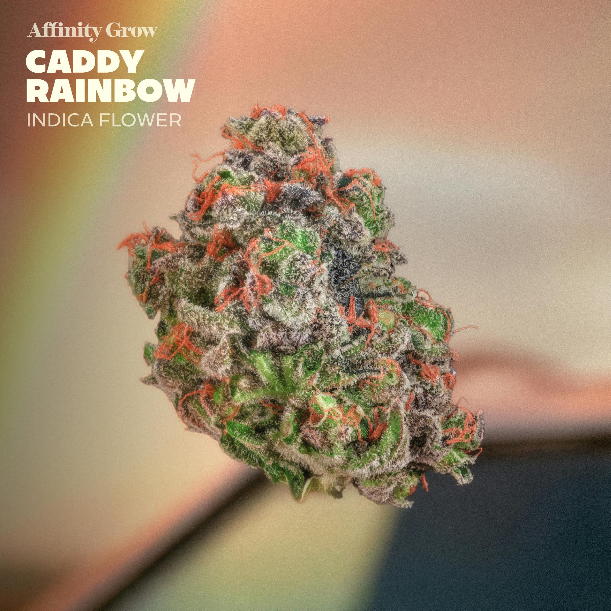 Caddy Rainbow | Pre-Pack | 3.5g | 01013 | WARNING: High THC