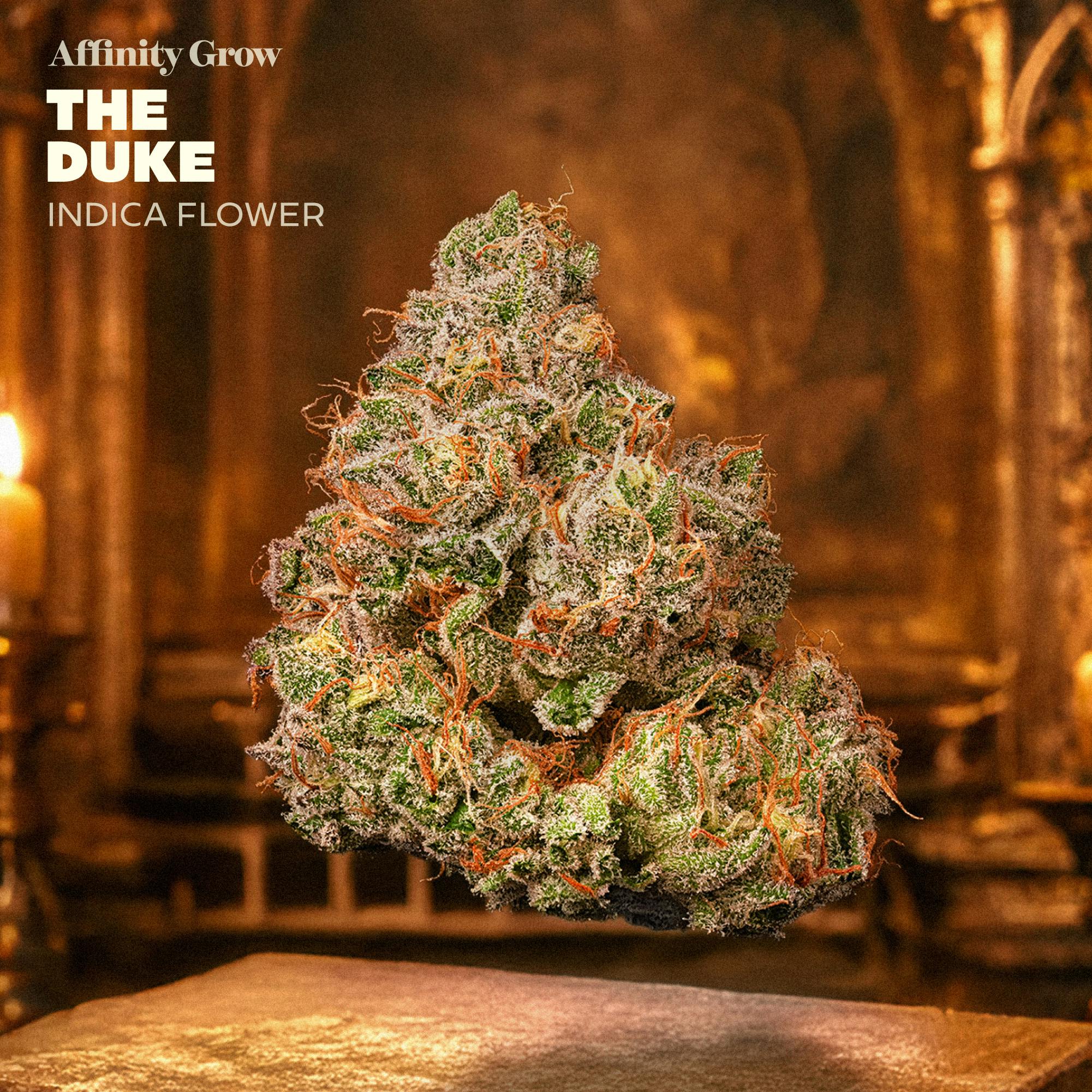 The Duke | Pre-Pack | 3.5g | 01002