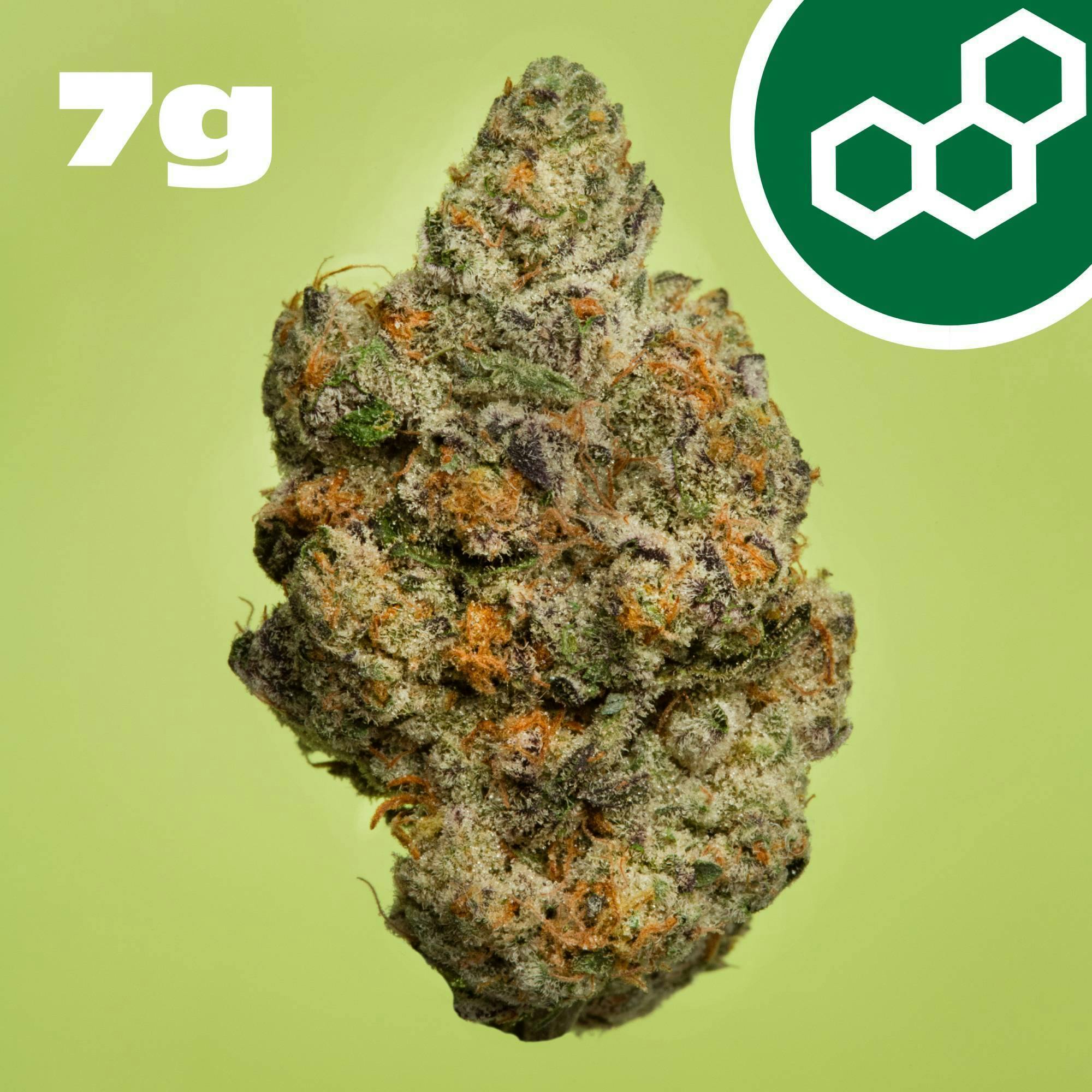 Apple Tart | Pre-Packed | 7g | 41604 cannabis product