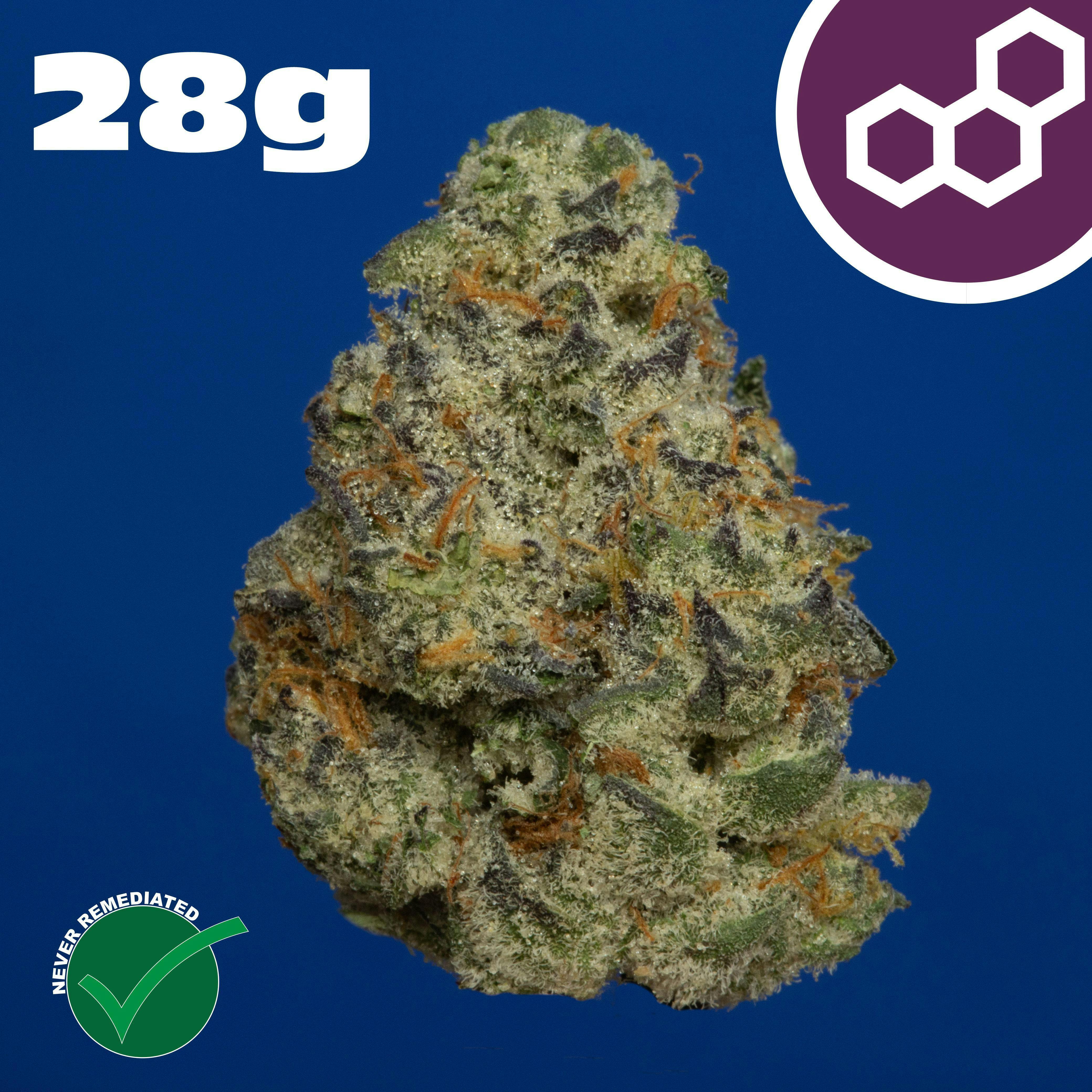 Plasma Gas | Pre-Packed | 28g | 41808 cannabis product