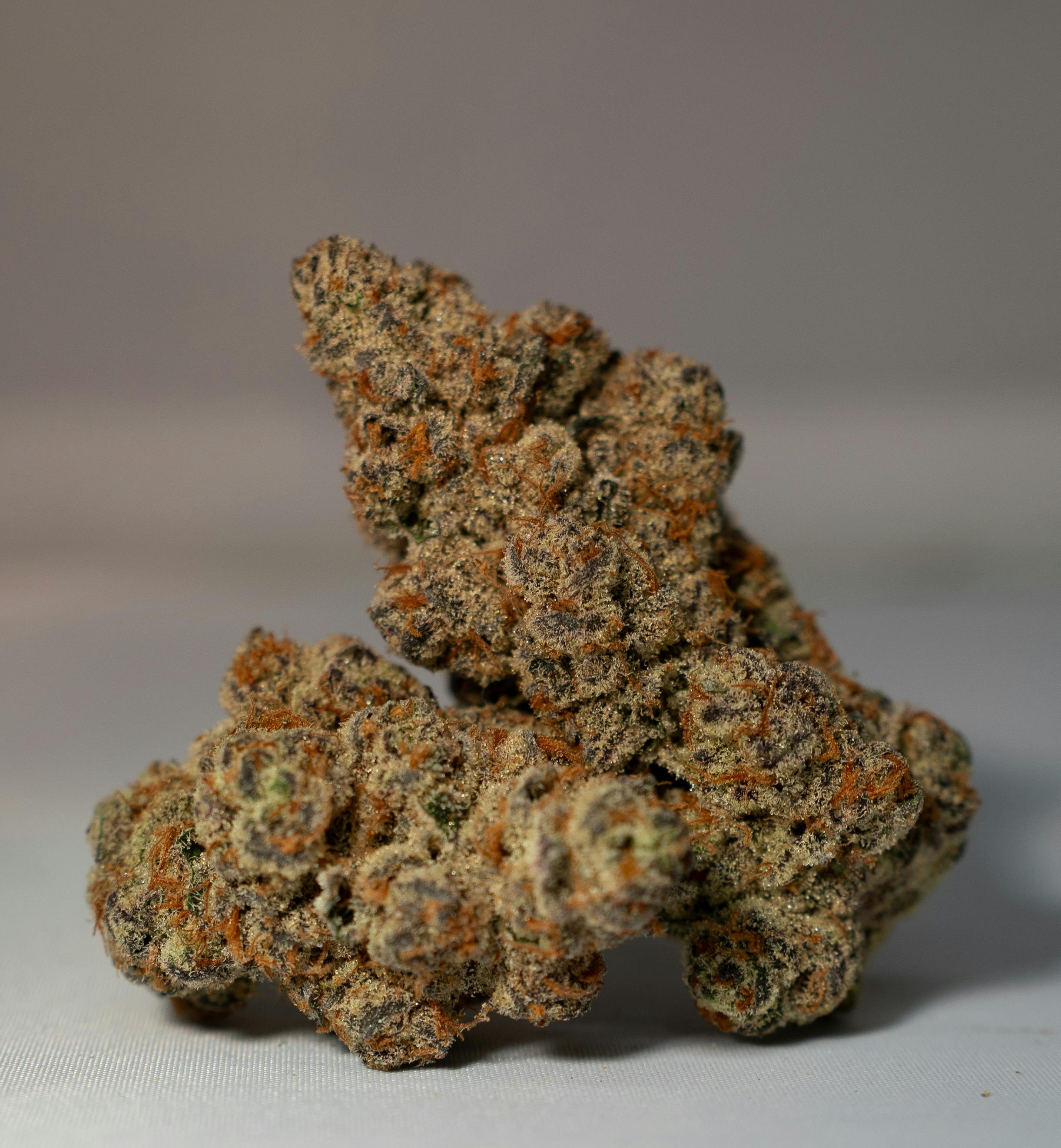 GLITTER BOMB (I) SMALLS 14G