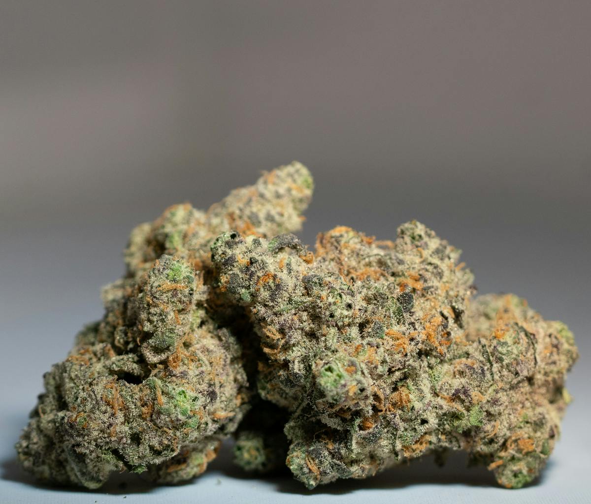 BIG CHILLZ #5: BIG CHILLZ #5 (I) 3.5G
