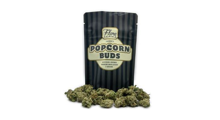 Lazer Wolf | Popcorn Flower