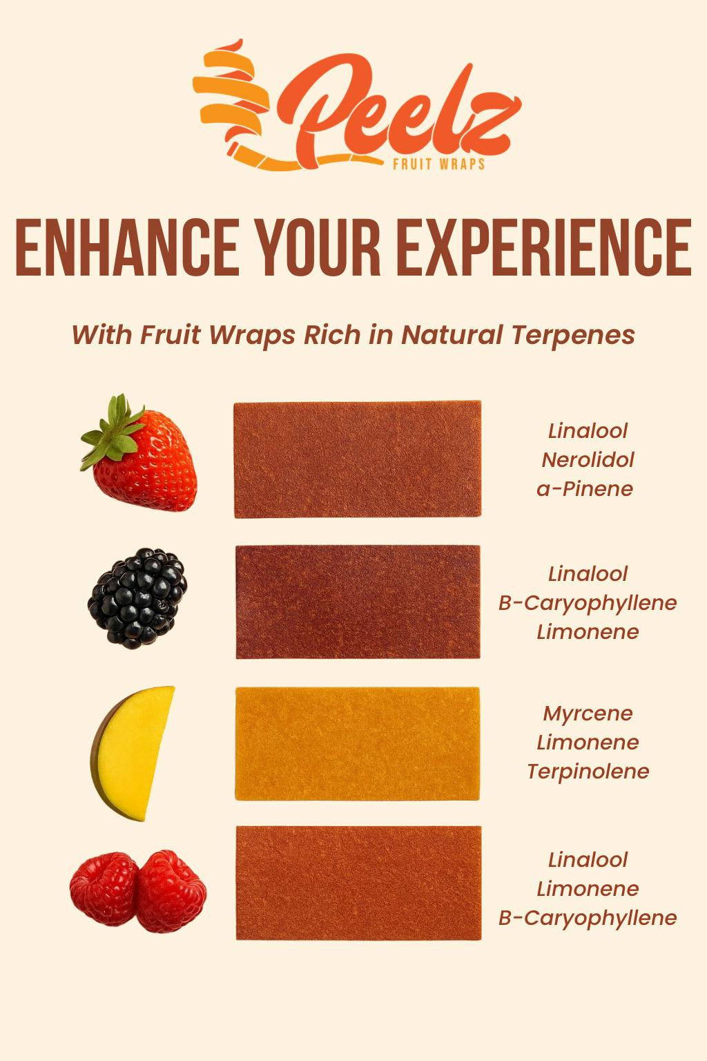 PEELZ FRUIT WRAPS RASPBERRY