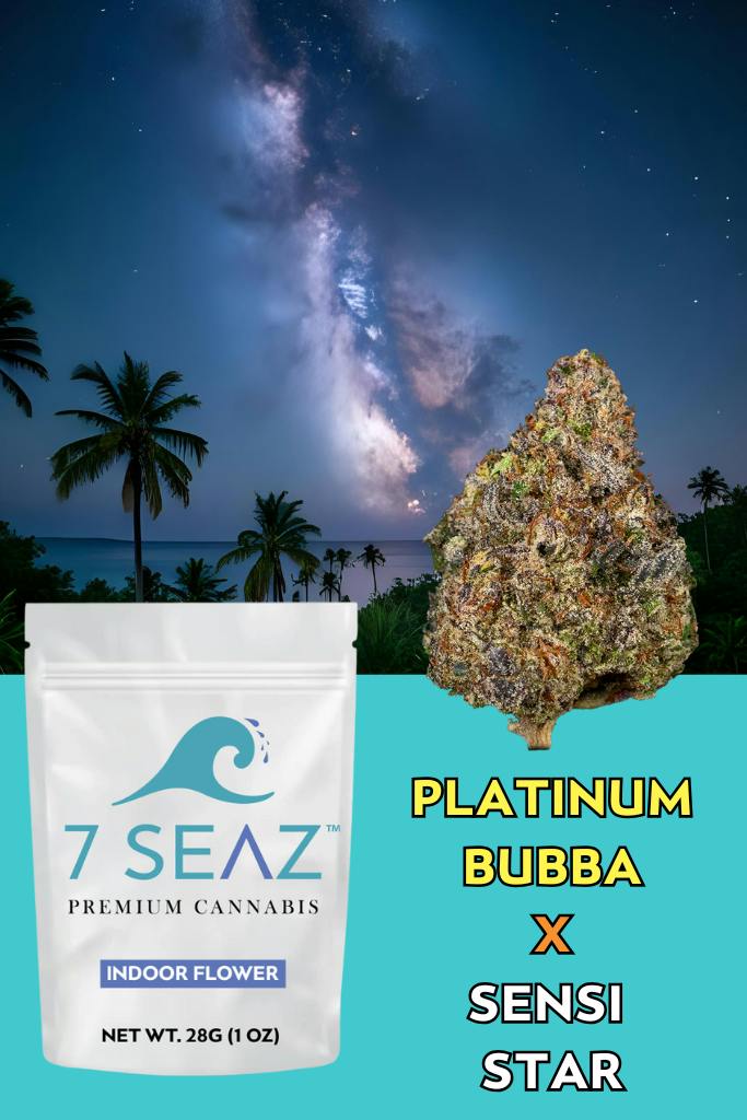 7 Seaz Platinum Bubba x Sensi Star Indoor Flower 28g