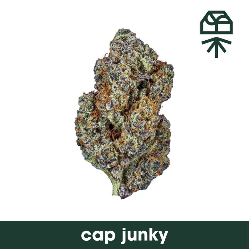 Grassroots Cap Junky Whole Flower 3.5g