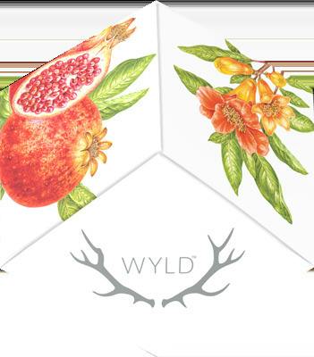 Wyld - Pomegranate 1:1 THC:CBD Gummies