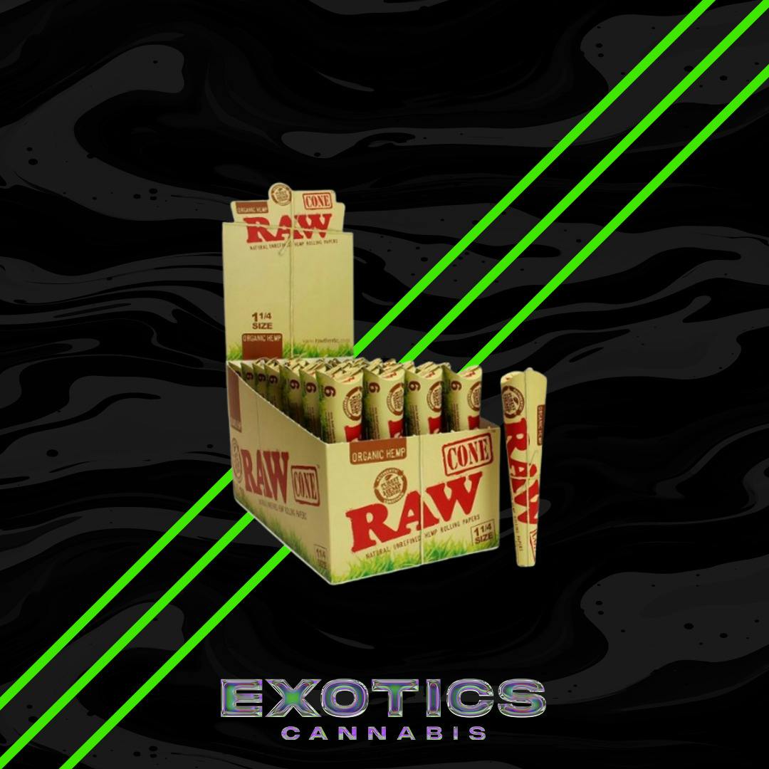Raw - Organic Hemp Cones 3 Pack 1 1/4 Size
