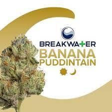 Breakwater Banana Puddintain Flower 3.5g (REC)
