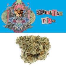 C-Bite Cheetah Piss Flower 3.5g (REC)