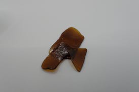 Sunset Drive Shatter - I 1G