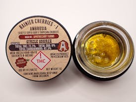 Rainier Cherries Ambrosia - I 1G FH