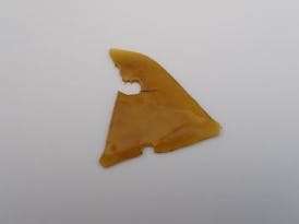 Berry Sangria Shatter - I 1G