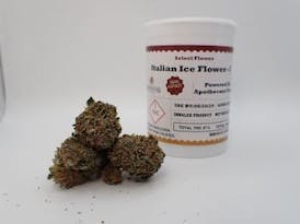 Italian Ice Flower - I 3.5G FH