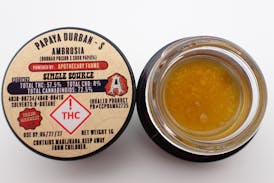 Papaya Durban Ambrosia - S 1G FH