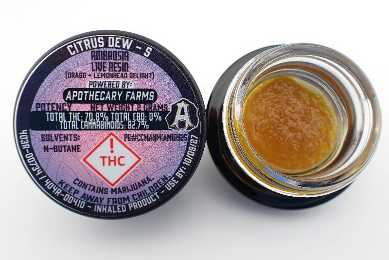 Citrus Dew Ambrosia - S 2G