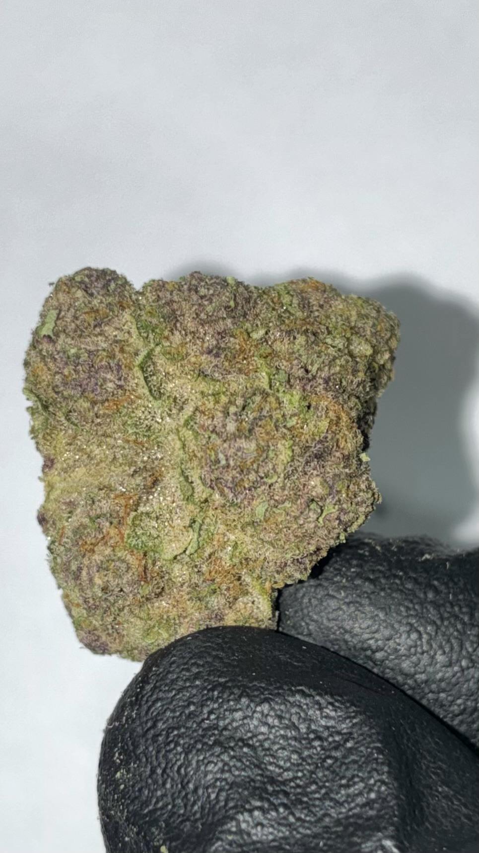 Strawberry Fireball | Dr.Jc's Exotics