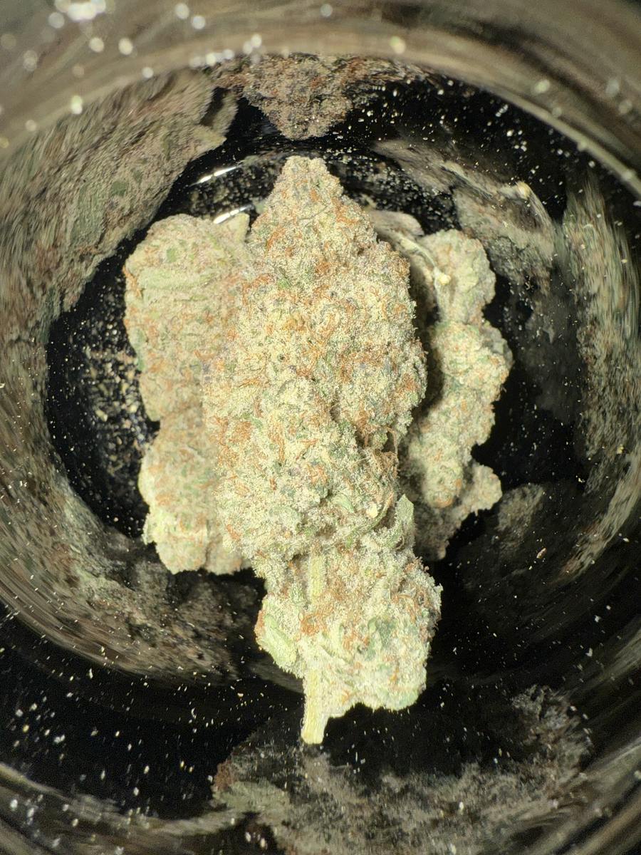 Drjcs Exotics