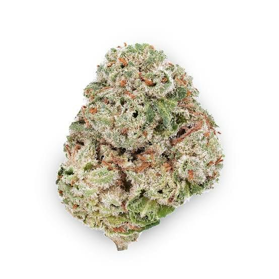 Silver Haze | 5.5⭐Exotic Flower | Creme Cultivation