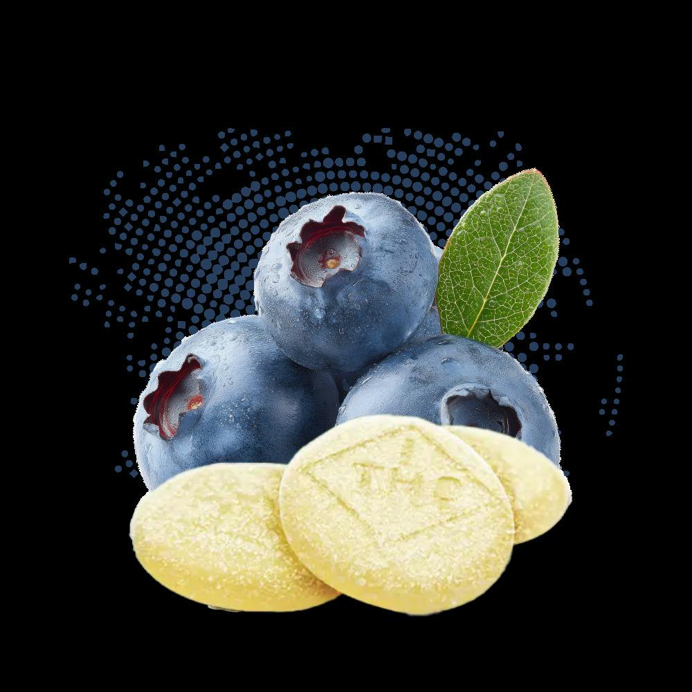 Blueberry - C-Bite - 100mg - 10ct at Cookies Orange Blossom Trail Dispensary
