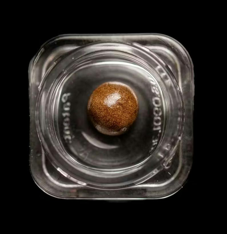 JAR - Motorbreath - Solventless Traditional Hash