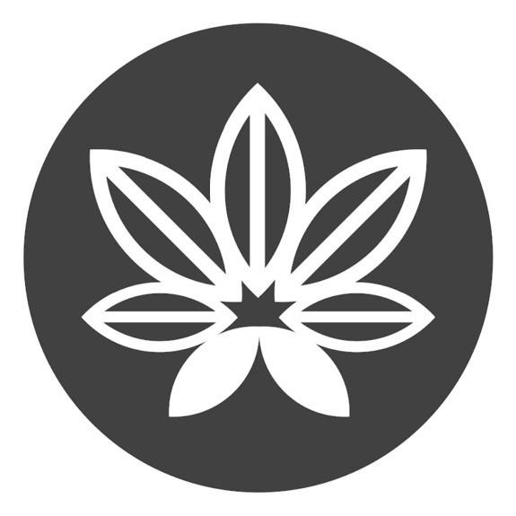 Sweetest Taboo at 210 Cannabis Co