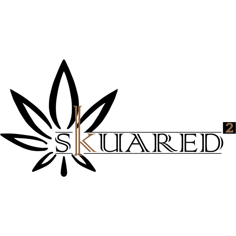 600mg 5:1 CBD:THC Caramel Cheesecake 10pk - Skuared