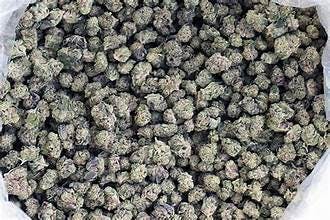 TUCSON GELATO 28: TUCSON GELATO 28 G SMALLS - 28 g