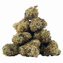 Papaya: PAPAYA 3.5G