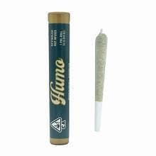 BAJA GOLD: BAJA GOLD 1G