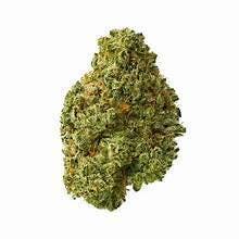 Rainbow Rush: RAINBOW RUSH 3.5G