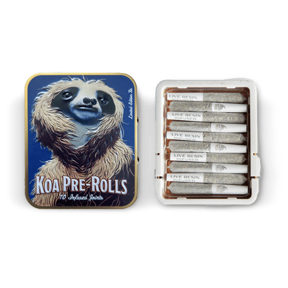 KOA: AMNESIA HAZE X MAUI WOWIE LIVE RESIN INFUSED SATIVA 3.5G PREROLL 10 PACK