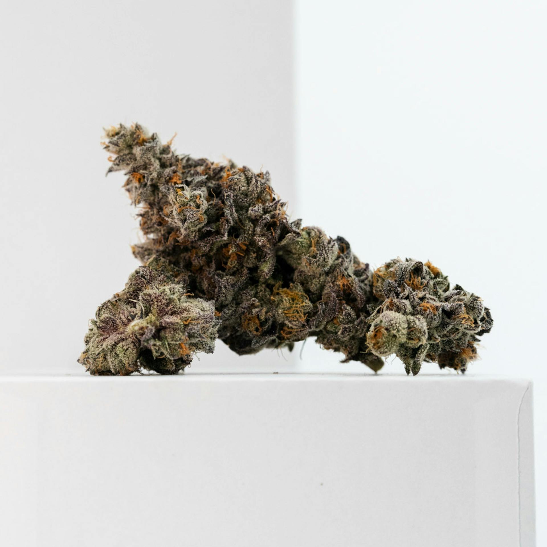 Lemon Cherry Sherbert