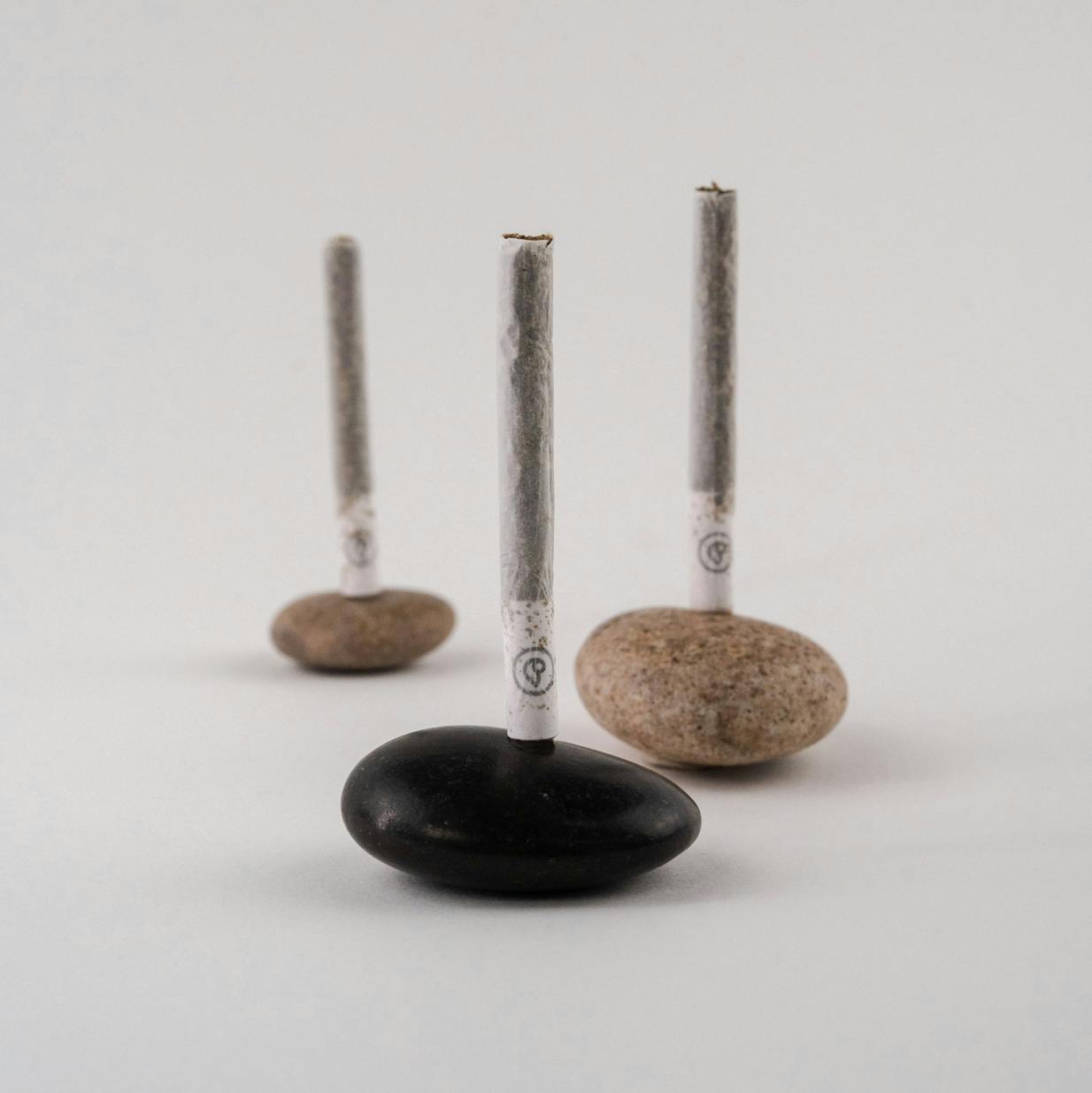 Big Kahuna | Pre-Roll