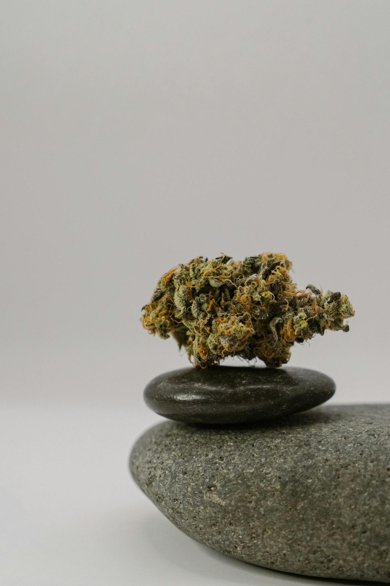 Blue Dream