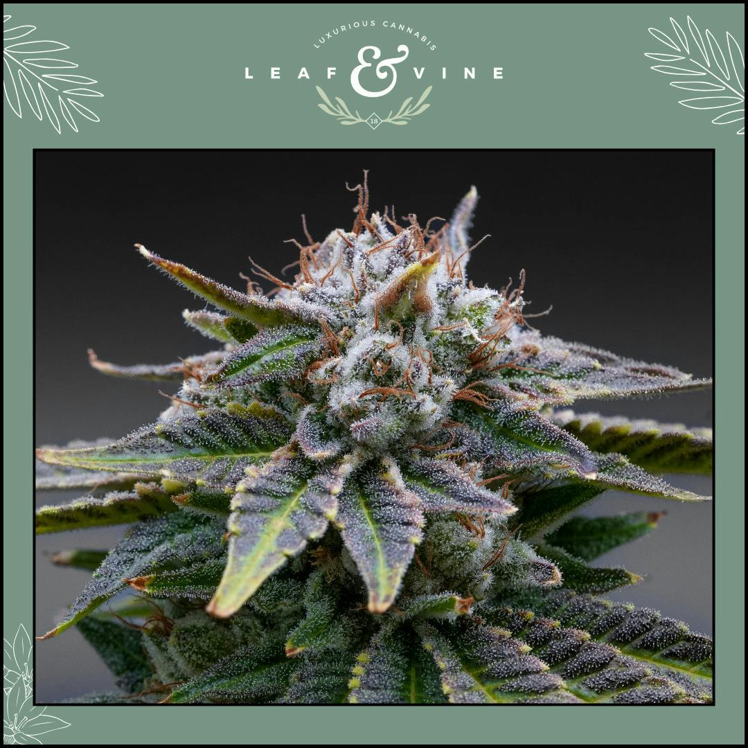 Leaf & Vine Spritzer 3.5g Prepack