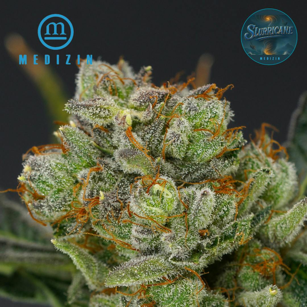 Medizin FRESH Slurricane 1g Preroll