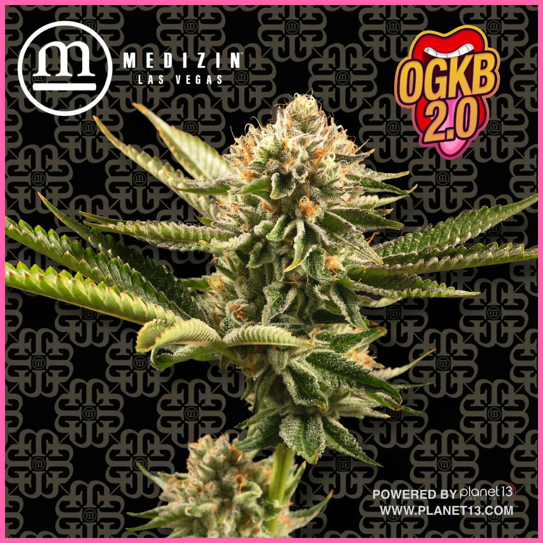 Medizin OGKB 2.0 3.5g Prepack