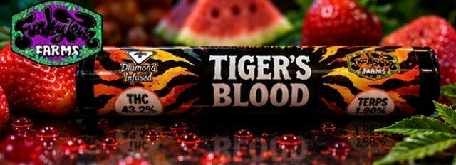 Funkytown Diamond Tigers Blood