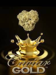 Caviar Gold - Infused Pre Roll - Zero Cavi Cone
