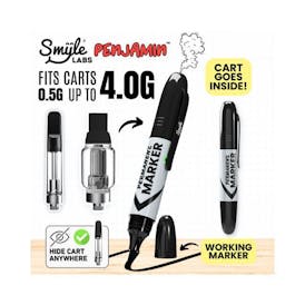 Penjamin Car Key Battery
