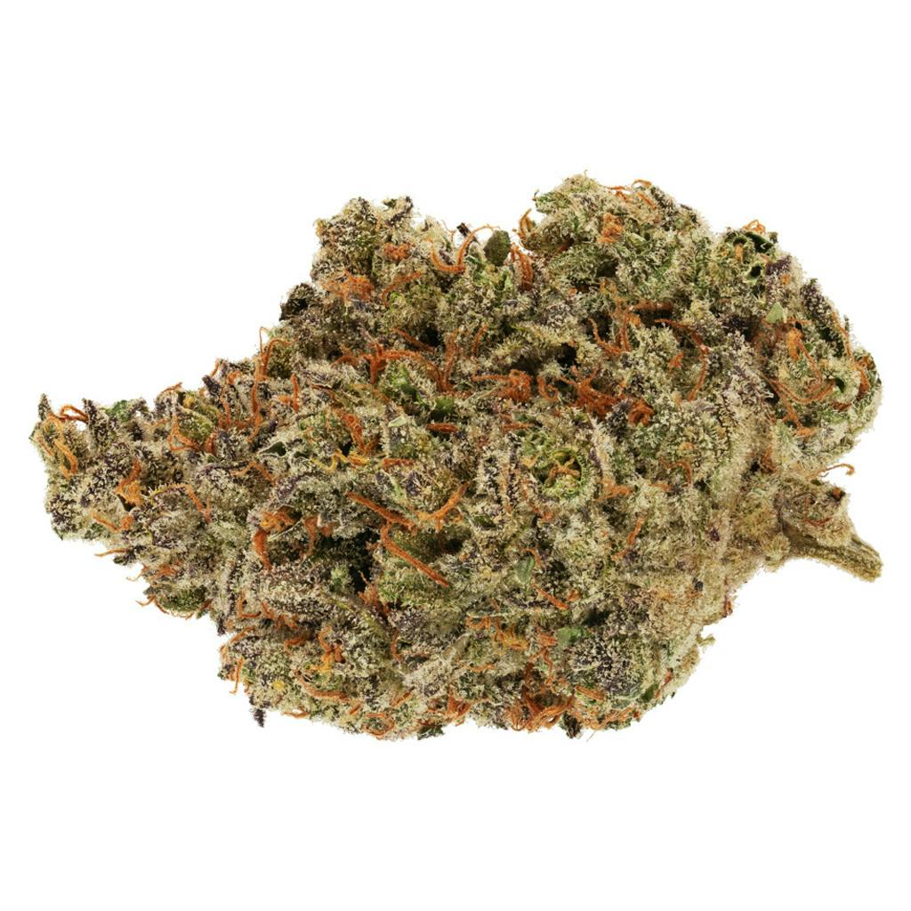 Broken Coast - Amnesia Haze Sativa - 3.5g