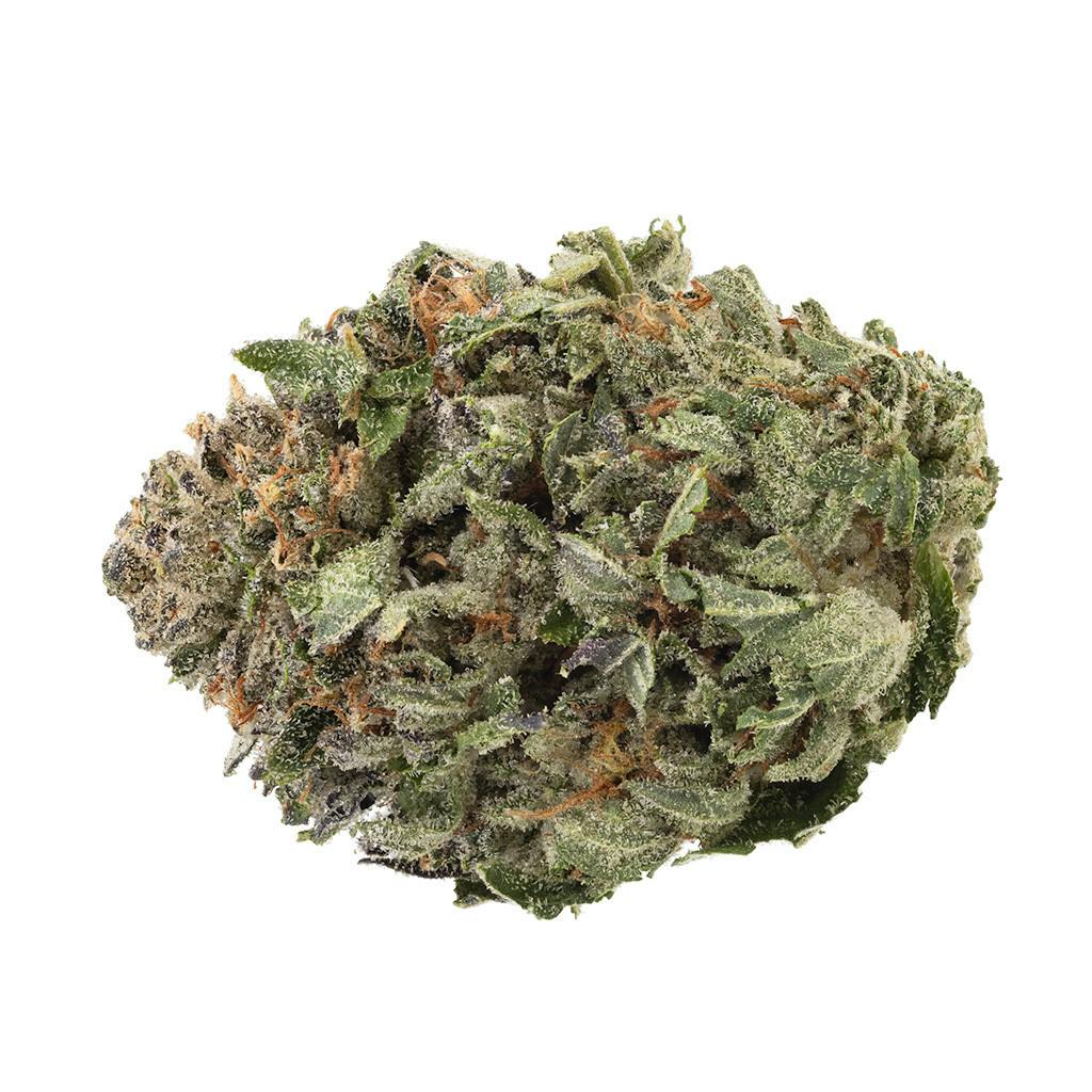 1964 - Organic Comatose Indica - 3.5g