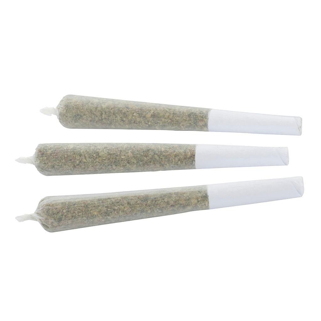 Wagners - Tiki Rain Pre-Roll