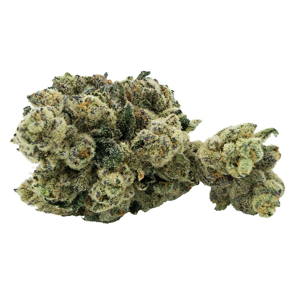 Citizen Stash - Jungle Breath