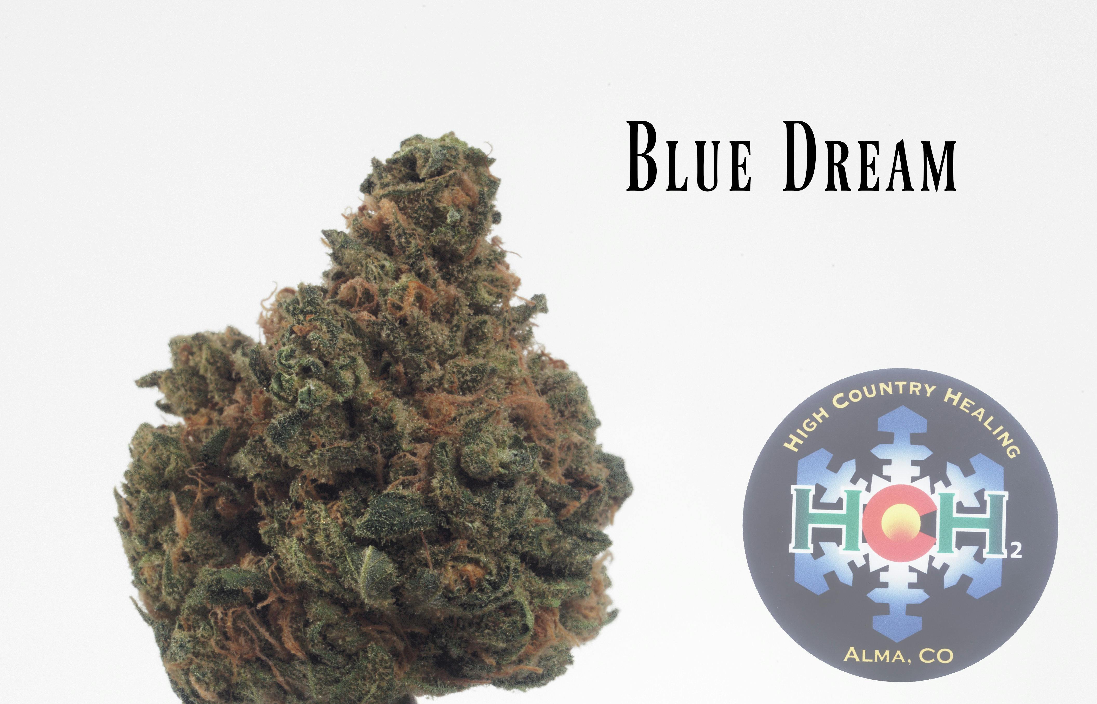 Blue Dream (Outdoor)
