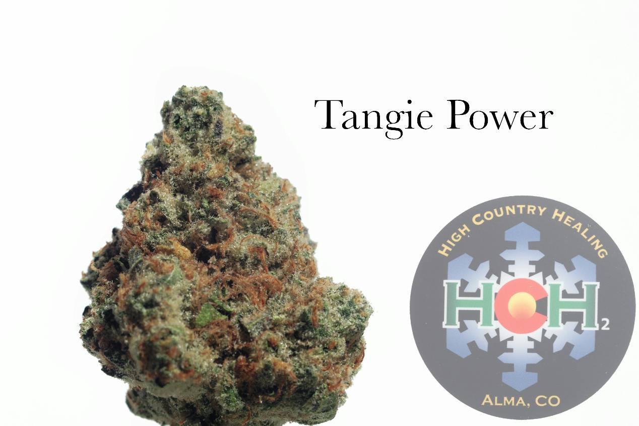 Tangie Power