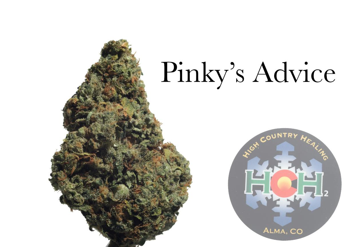 Pinky's Advice