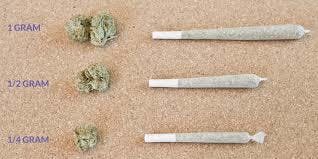 1g Joints